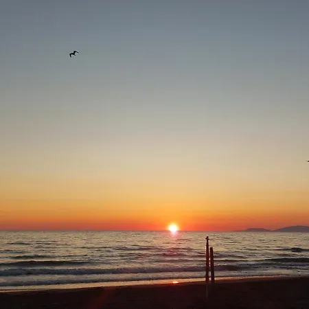 Sea La Vie Lejlighed *